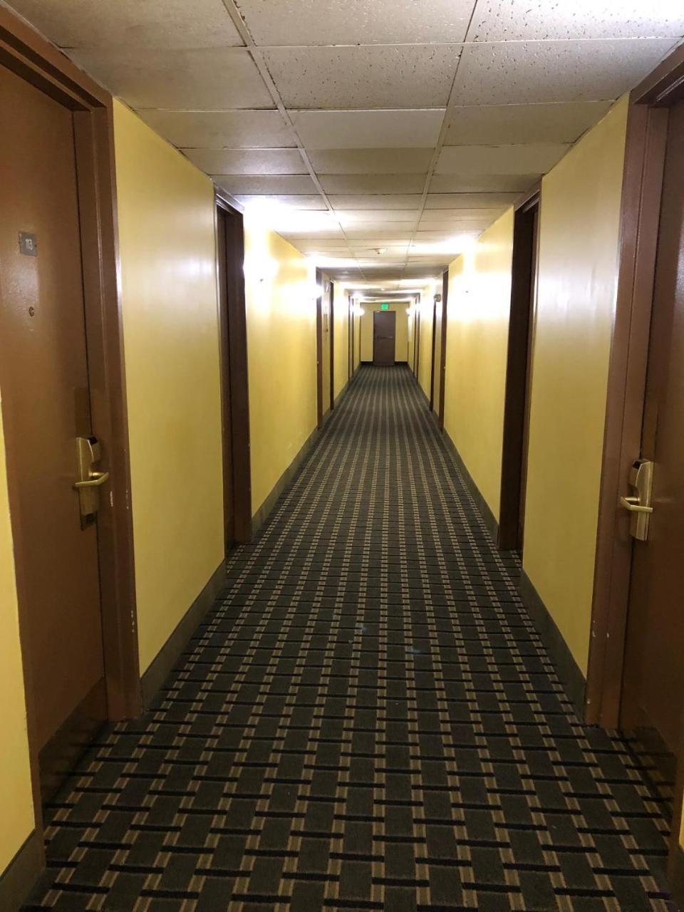 Honeyspot Motor Lodge Stratford Εξωτερικό φωτογραφία